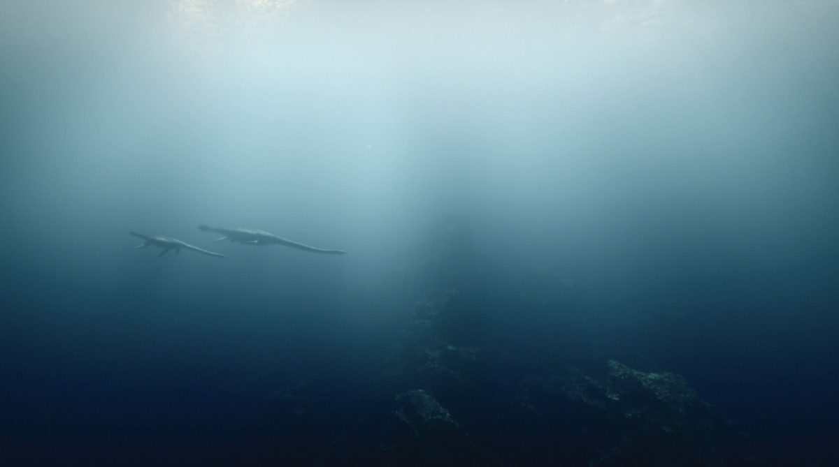 Dwóch Touaregów pływa razem w mglistym krajobrazie morskim