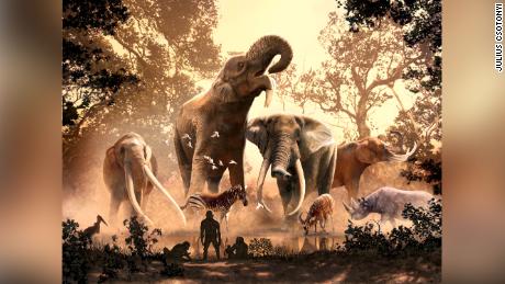 Współczesne słonie uniknęły pradawnych zmian klimatycznych.  Nie było więcej niż 180 innych gatunków, w tym mastodonty