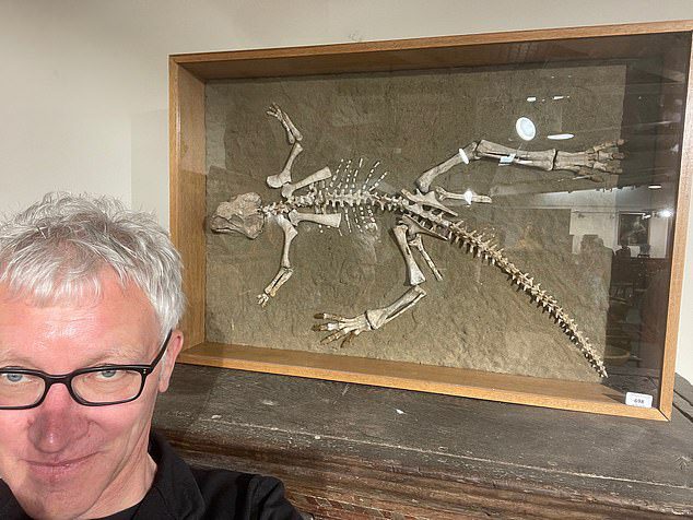 54-letni mężczyzna (na zdjęciu Tom Holland) udał się z ojcem na aukcję w Woolley & Wallis, w Salisbury, Walts, aby zaprezentować szkielet psittacozarusa (jaszczurki papugi) w wieku od 97,5 do 119 milionów lat .