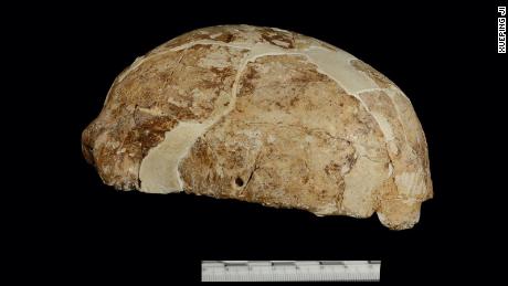 Na zdjęciu czaszka znaleziona w Red Deer Cave w Yunnan w Chinach. 