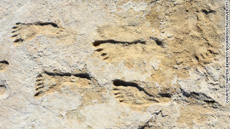Skamieniałe odciski stóp pokazują, że ludzie dotarli do Ameryki Północnej znacznie wcześniej niż początkowo sądzono