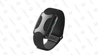 Apollo Wearable Wellness Wristband